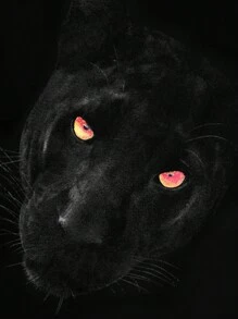 Manfinity LEGND Nam Kích thước lớn In Ngắn tay Áo thun - màu đen - Xem 3