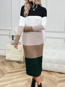 SHEIN LUNE Women's Colorblock High Neck Sweater Dress - Multicolor - View 1