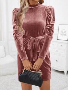 SHEIN Clasi 天鵝絨羊肉袖腰帶連衣裙 - 藕粉色 - 查看 3