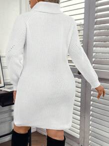 SHEIN LUNE Plus Size Solid Color High Neck Raglan Sleeve Sweater Dress