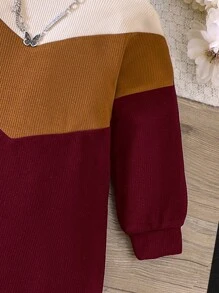 SHEIN Little Girls' Color Block Turtleneck Dress - Burgundy - View 3