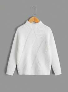 SHEIN Meisjes In de mode Effen kleur Kraag Truien