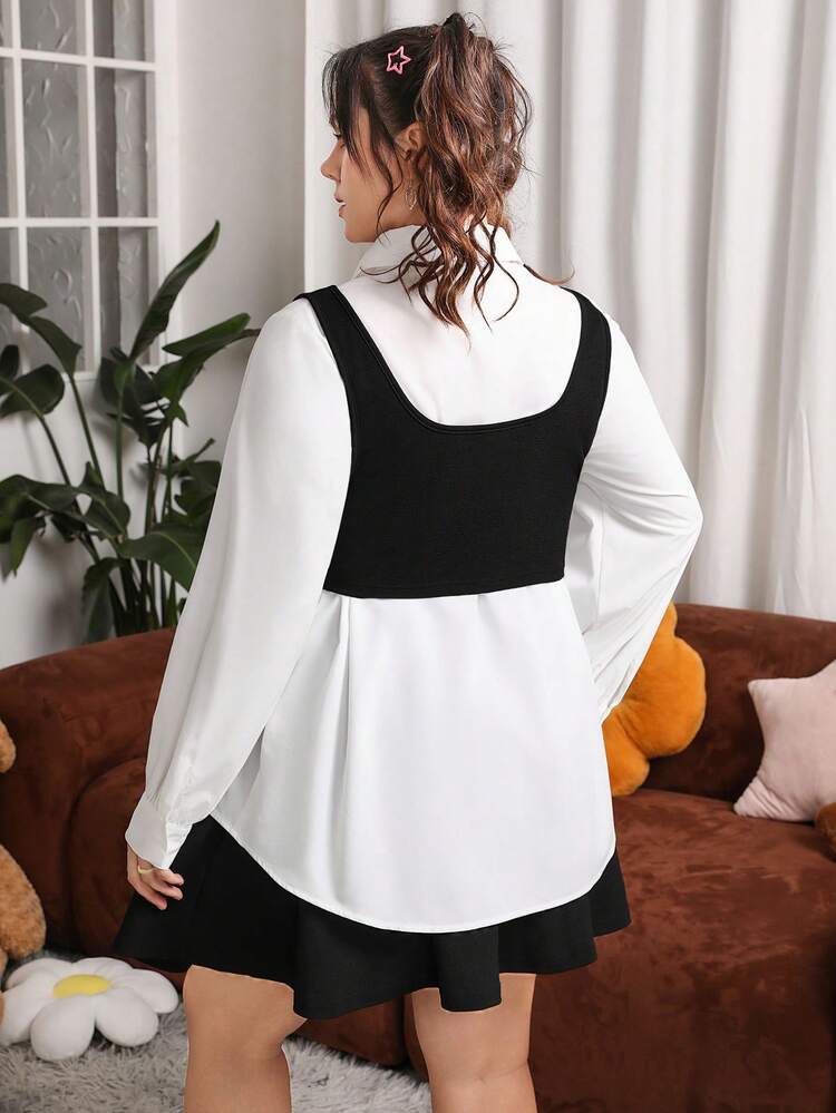 Plus Size Women's Colorblock Contrast Panel Long Sleeve Blouse