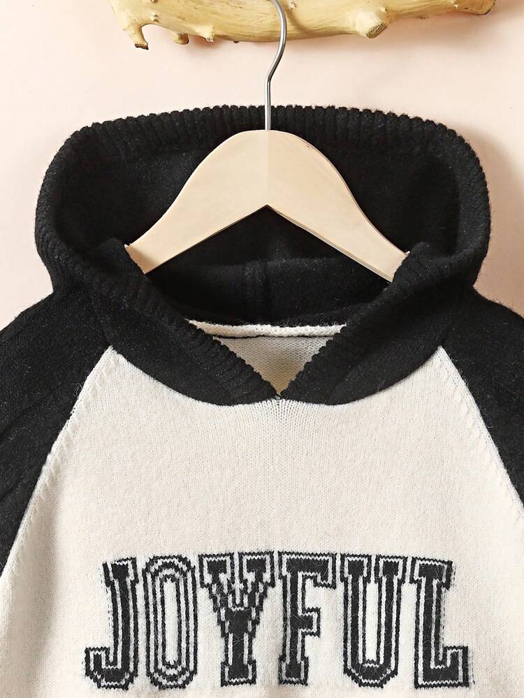Girls' Pullover Hooded Sweater With Letter Print, Colorblock And Raglan Sleeve