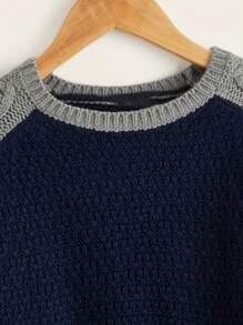 SHEIN Baby-pullover Mit Kontrast-raglanärmeln Für Jungen