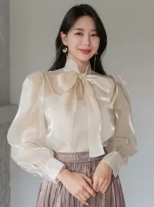 DAZY 1件女士商务休闲纯色缎带领衬衫，秋季长袖上衣外出上衣 - 香檳色 - 查看 1