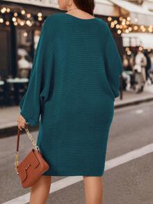 Calvaya Plus Size Color Block Batwing Sleeve Sweater Dress - Multicolor - View 2