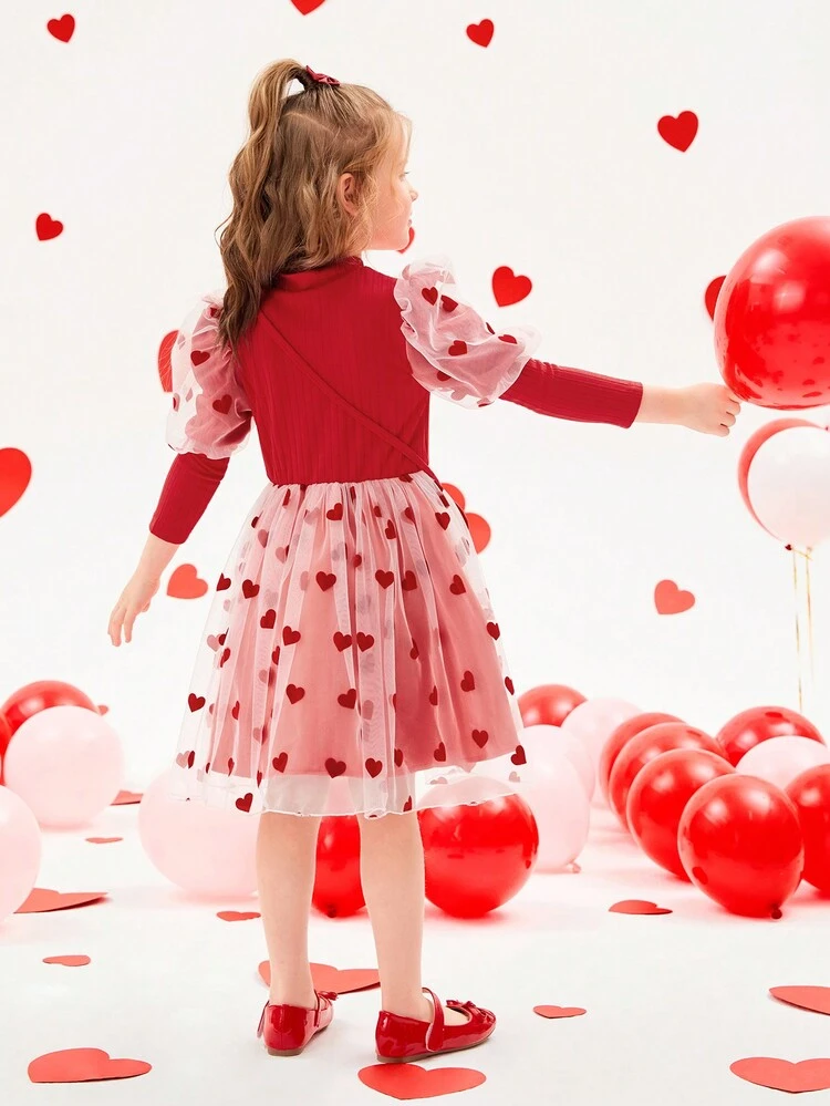 Young Girl Cute Heart Mesh Long Sleeve Dress For Autumn/Winter