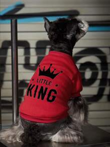 Debiesn Artist Girlcore 1 件大号红色皇冠和字母大号印花可爱温暖可爱宠物运动衫无兜帽适合节日 - 彩色 - 查看 2