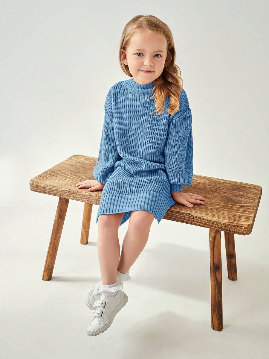 SHEIN Cô Gái Trẻ Tay áo dài Vòng cổ Đơn giản Đầm Áo len - Màu xanh lam - Xem 1