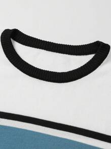 Manfinity Homme Men'S Round Neck Color Block Knitted Top , Vintage , Work , Color Block , Friends - Multicolor - View 4