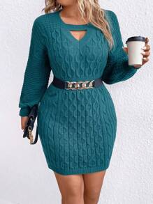 SHEIN Clasi 大尺寸針織長袖毛衣連衣裙,無腰帶款式 - 墨綠色 - 查看 1
