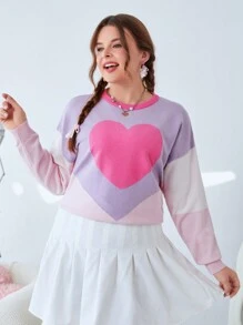 SHEIN EZwear 大尺碼心型拼色毛衣 - 彩色 - 查看 6