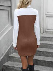 SHEIN LUNE Vestido de manga larga ajustado con bloques de color - Café integral - Ver 2