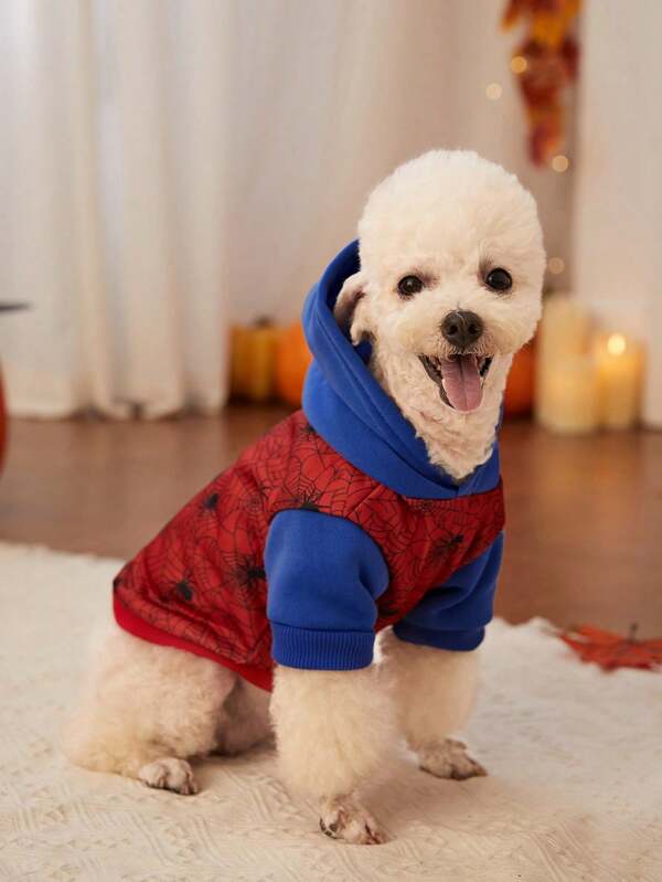 PETSIN Petsin Halloween Spider Hoodie For Pet, 1pc