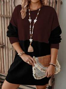 SHEIN LUNE Plus Size Round Neck Color Block Knitted Sweater Dress