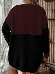 SHEIN LUNE Plus Size Round Neck Color Block Knitted Sweater Dress