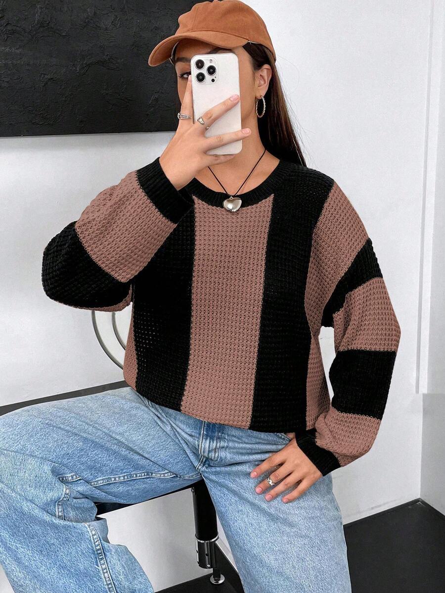Flirla Plus Size Round Neck Color Block Sweater Knit Pullover Fall Winter - Mocha Brown - View 1