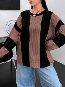 Flirla Plus Size Round Neck Color Block Sweater Knit Pullover Fall Winter - Mocha Brown - View 3