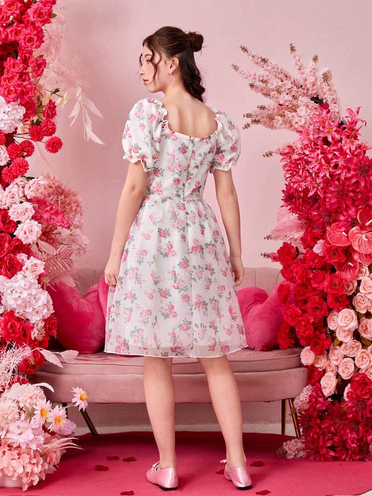 Teenagers (Girls) Organza Floral Print Dress