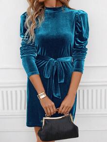 SHEIN Clasi 女士蓬蓬袖立領絲絨連衣裙 - 藍色 - 查看 6