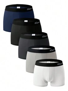Men'S Breathable Plus Size Boxer Shorts Variety Of Styles (5pcs Combo) - Multicolor - View 1