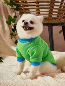 Debiesn 1件綠色拼色可愛寵物印花保暖無帽運動衫 - 彩色 - 查看 6