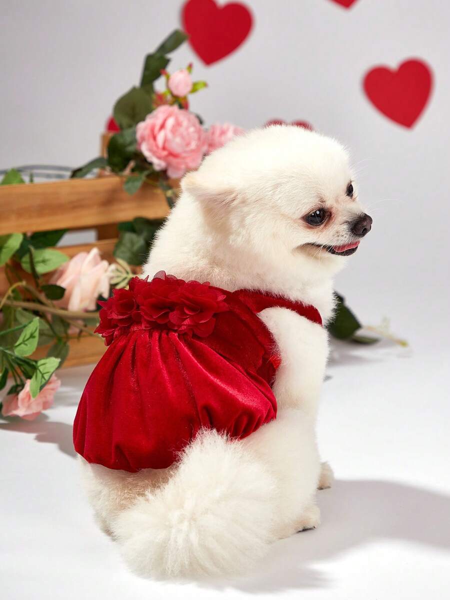 PETSIN Red Velvet 3d Flower Lantern Suspender Skirt, Valentine's Day Pet Cat & Dog Dress