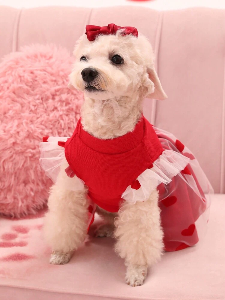 Valentine's Day Red Mesh Heart Design Pet Dress