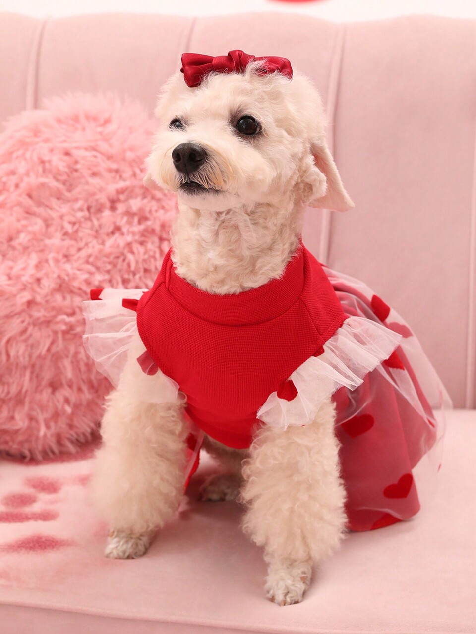 Valentine's Day Red Mesh Heart Design Pet Dress