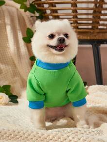 Debiesn 1件綠色拼色可愛寵物印花保暖無帽運動衫 - 彩色 - 查看 4