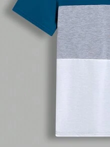 SHEIN Camiseta Corta De Manga Corta Con Estampado De Letras Y Bloques De Color Casual Para Adolescentes, Adecuada Para El Verano