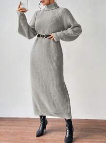 SHEIN Clasi Plain High Neck Raglan Sleeve Sweater Dress - Light Grey - View 5