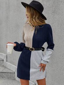 SHEIN LUNE Women's Color Blocking Ribbed Dress - Royal Blue - View 5