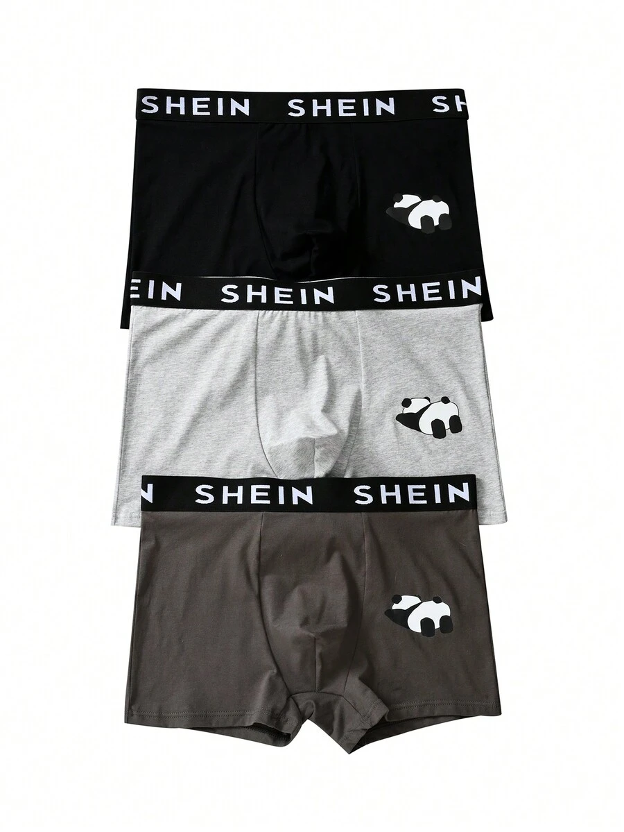 青少年男孩 3 件熊貓卡通設計平口內褲 - 彩色 - 查看 1