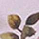 粉色