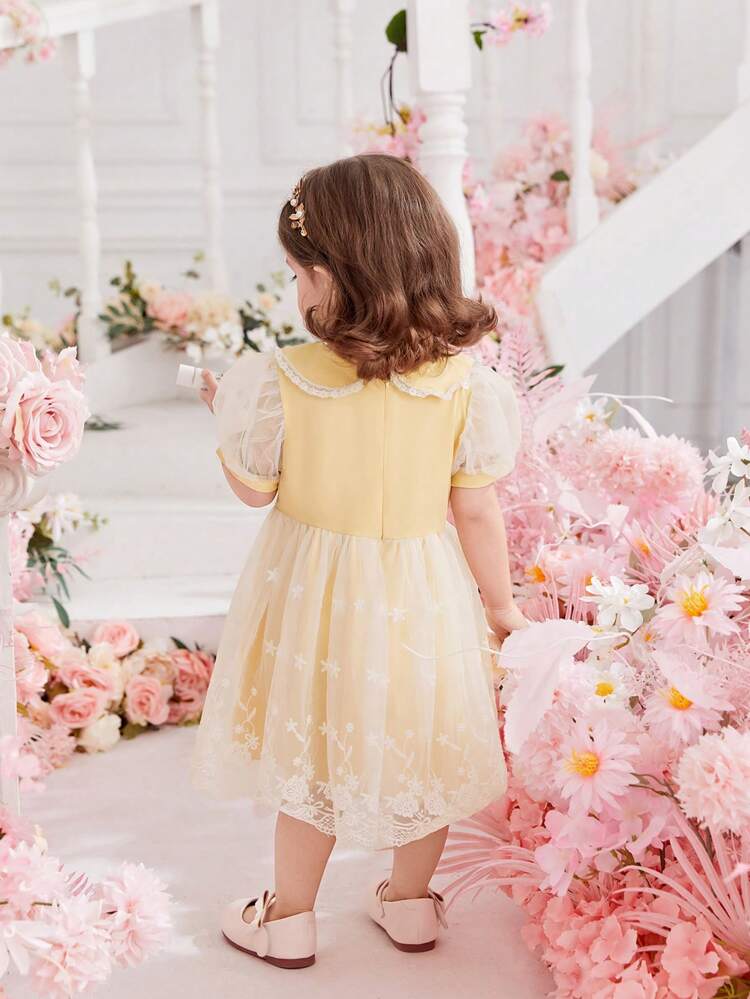 Baby Girl Summer Cute Peter Pan Collar Short Sleeve Mesh Dress