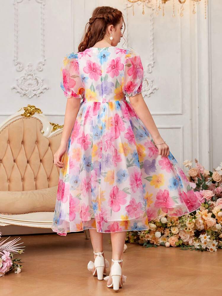 Teen Girls' Puff Sleeve Sheer Hollow Out Dress With Bow Tie, Organza Floral Print