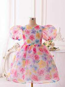 SHEIN DRMZ Tween Girl Tween 女童刺绣网眼提花圆领短袖派对礼服 适合婚礼季节 - 彩色 - 查看 2