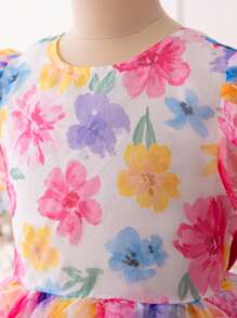 SHEIN DRMZ Tween Girl Tween 女童刺绣网眼提花圆领短袖派对礼服 适合婚礼季节 - 彩色 - 查看 6