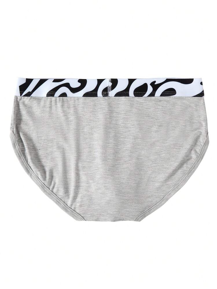 Men's Zebra Stripe Texture Triangle Briefs (4pcs/Set)