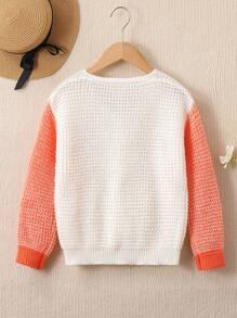 Sweat-shirt Décontracté Léger Avec Blocs De Couleur Et Style Simple Pour Les Jeunes Filles, Printemps/été