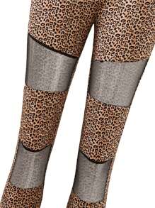 Teen Girl Sheer Leopard Print High Waisted Comfortable Elastic Leggings For Elegant - Multicolor - View 3