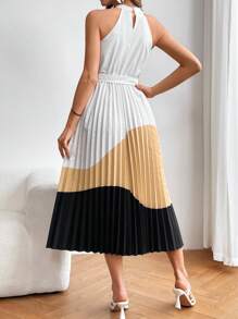 SHEIN Privé Women's Contrast Color Pleated Hem Halter Neck Dress - Multicolor - View 3