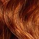 SG.Orange