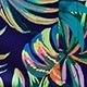 Multicolor