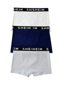 Thiếu niên Con trai Hoạt hình In rồng Boxer Quần lót tam giác Với Thoải mái Đàn hồi , - Nhiều màu - Xem 2