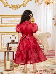 SHEIN 年輕女孩時尚刺繡泡泡袖A線連衣裙，搭配編織腰帶和透明紗領 - 酒紅色 - 查看 6