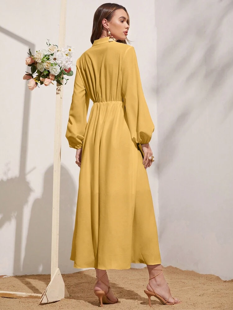 Women's Lantern Sleeve Dress With Tassel Decoration