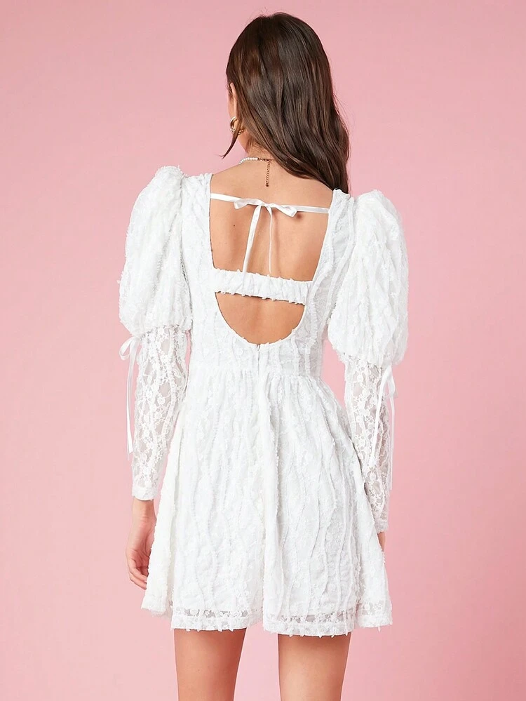 Women's Lace Mesh Puff Sleeve Dress